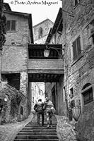 © Photo Andrea Magnani